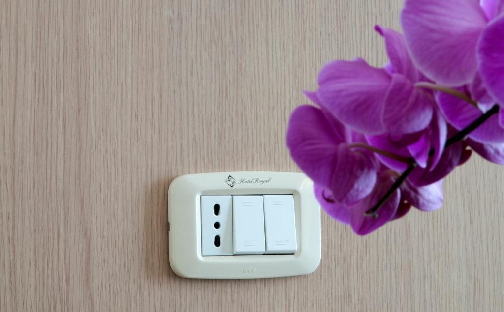 Hotel Royal ペザロ 部屋 写真